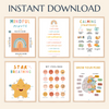 Set of 25 Social Emotional Regulation Posters