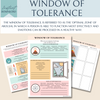 Window of Tolerance - Understanding Your arousal States.